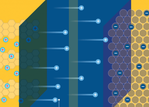 Lithium-Ion Battery Cross-section - Xplorlabs